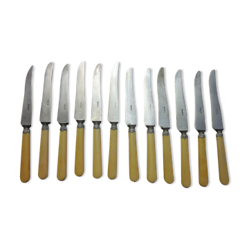 12 knives old paris steel blade