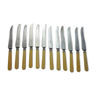 12 knives old paris steel blade