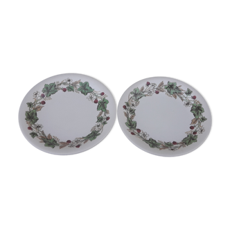 2 plates in English earthenware John Tams diam 19 cm