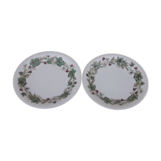 2 assiettes en faïence anglaise John Tams diam  19 cm