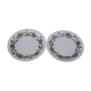 2 plates in English earthenware John Tams diam 19 cm