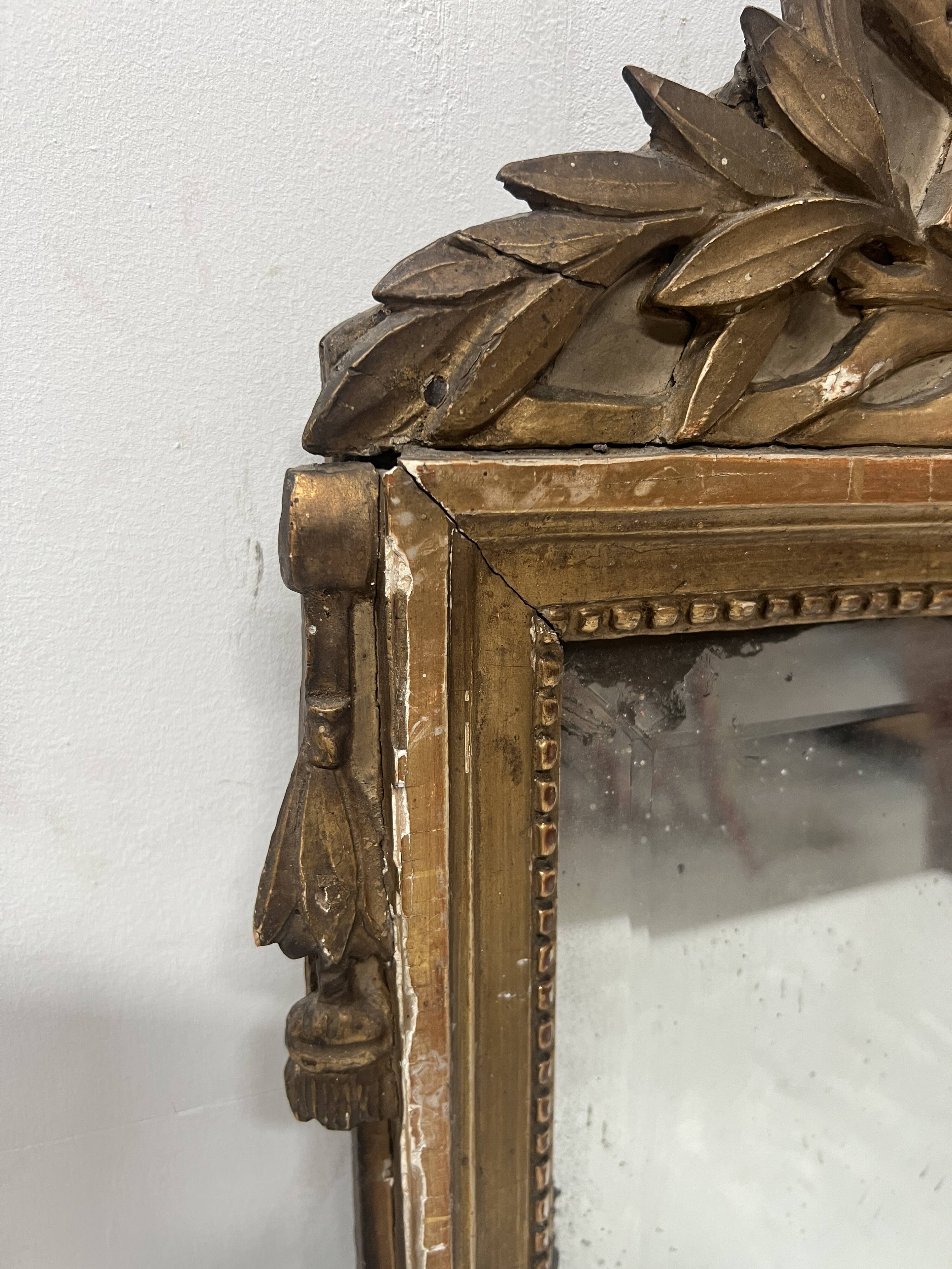 Louis XV mirror in carved and gilded wood, 18th century