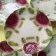 Set of 8 barbotine plates, the Onnaing roses – early 20th century