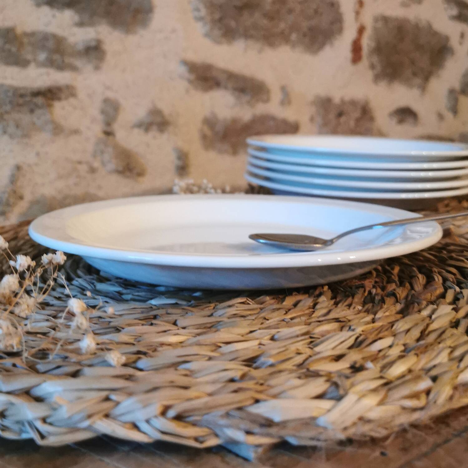 Vintage dessert plates, nesting set by Michel Hamon, Gien Prisunic