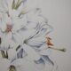 Flower board -White Lily- Illustration of medicinal plants