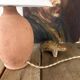 Terracotta lamp, new 2M fabric cable, cotton lampshade