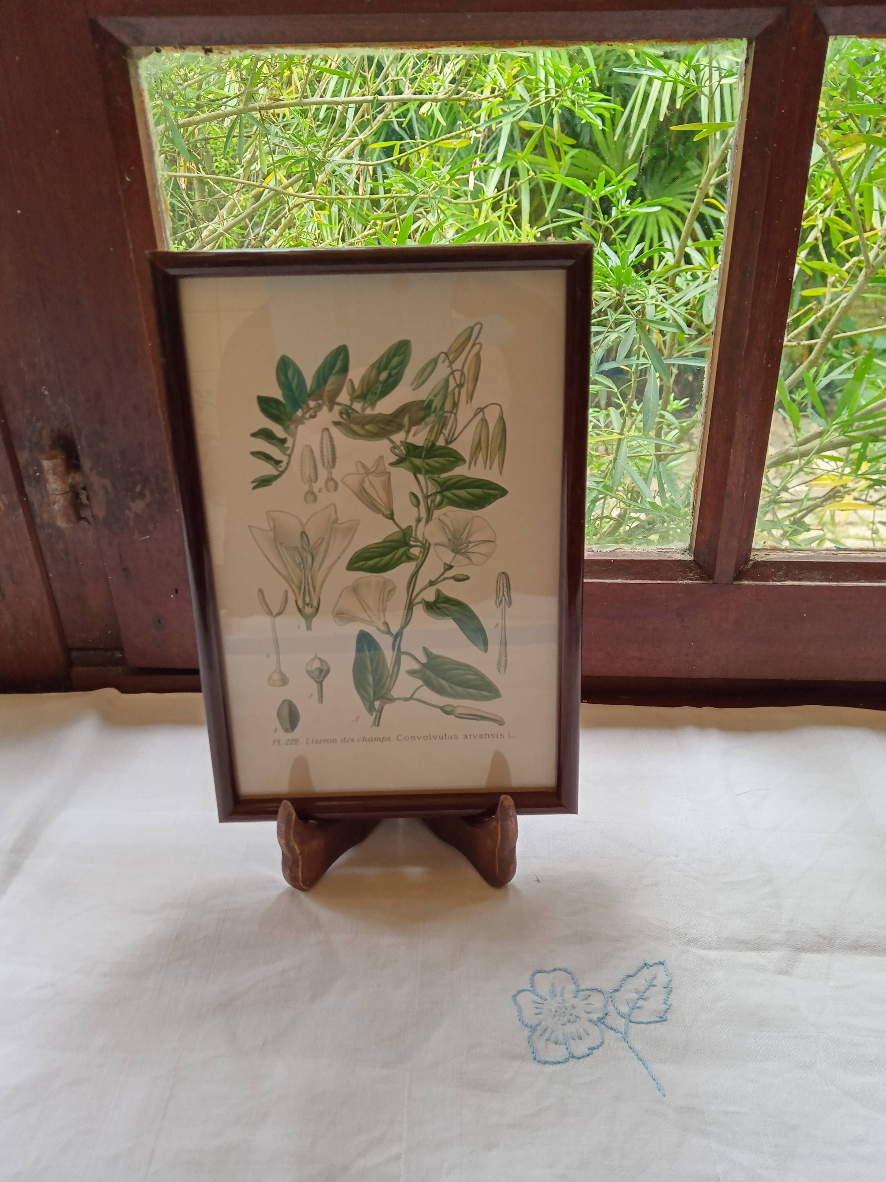 Botanical board