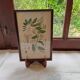 Botanical board