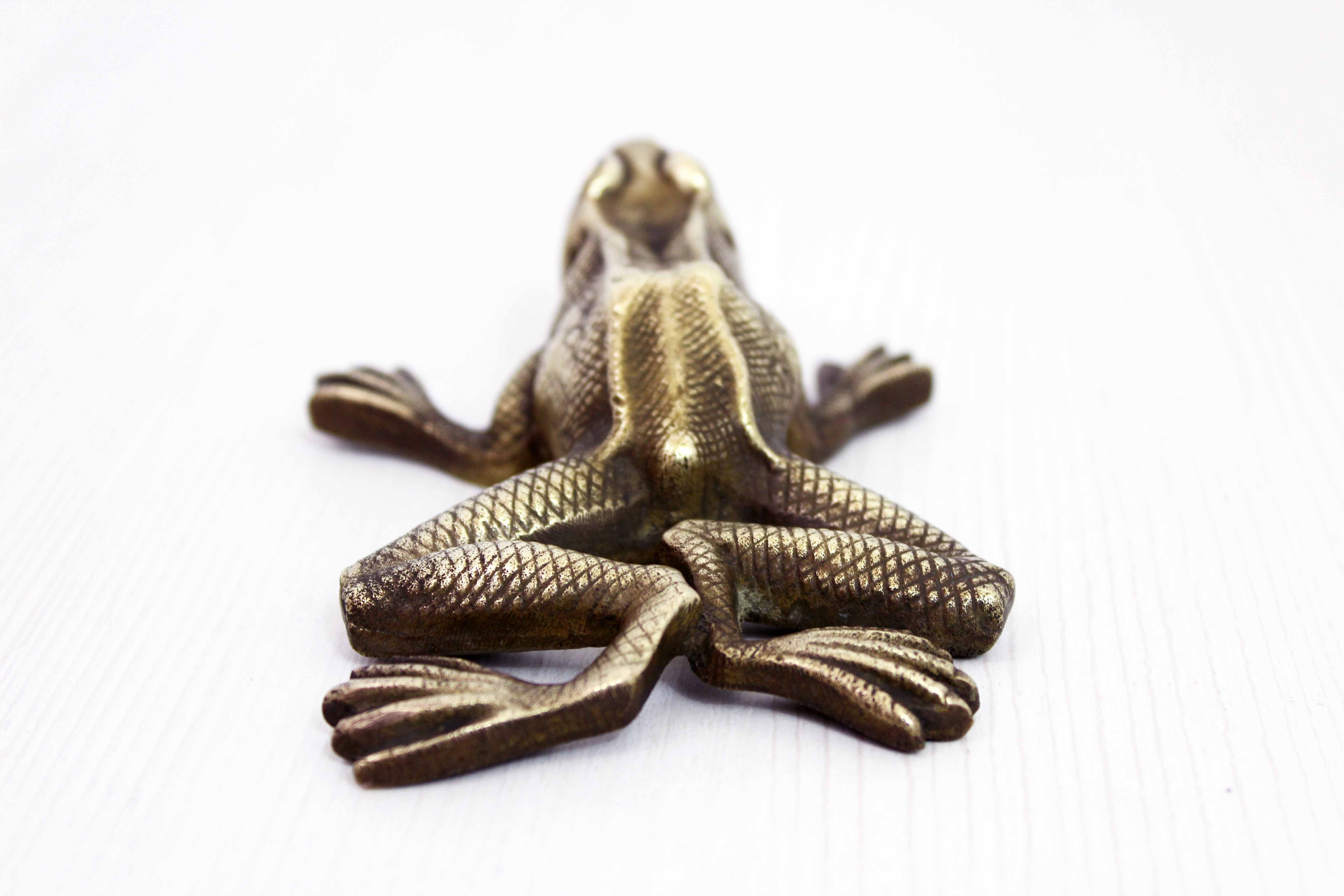 Bronze frog 50s
