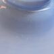 blue glass light fixture