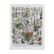 Ancient illustration "medicinal plants"