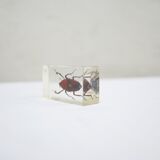 Vintage resin insect