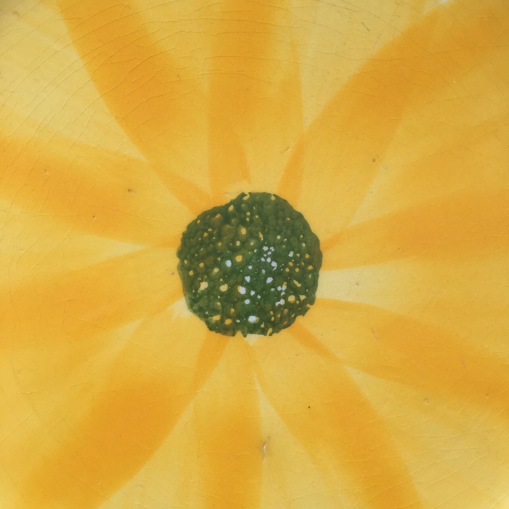 Italian yellow flower plate