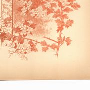 Art Nouveau engraving 1896 - Hawthorn by G. Fraipont. Antique floral plate.
