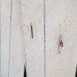 Pair of old shutters