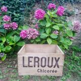 Caisse en bois chicorée leroux