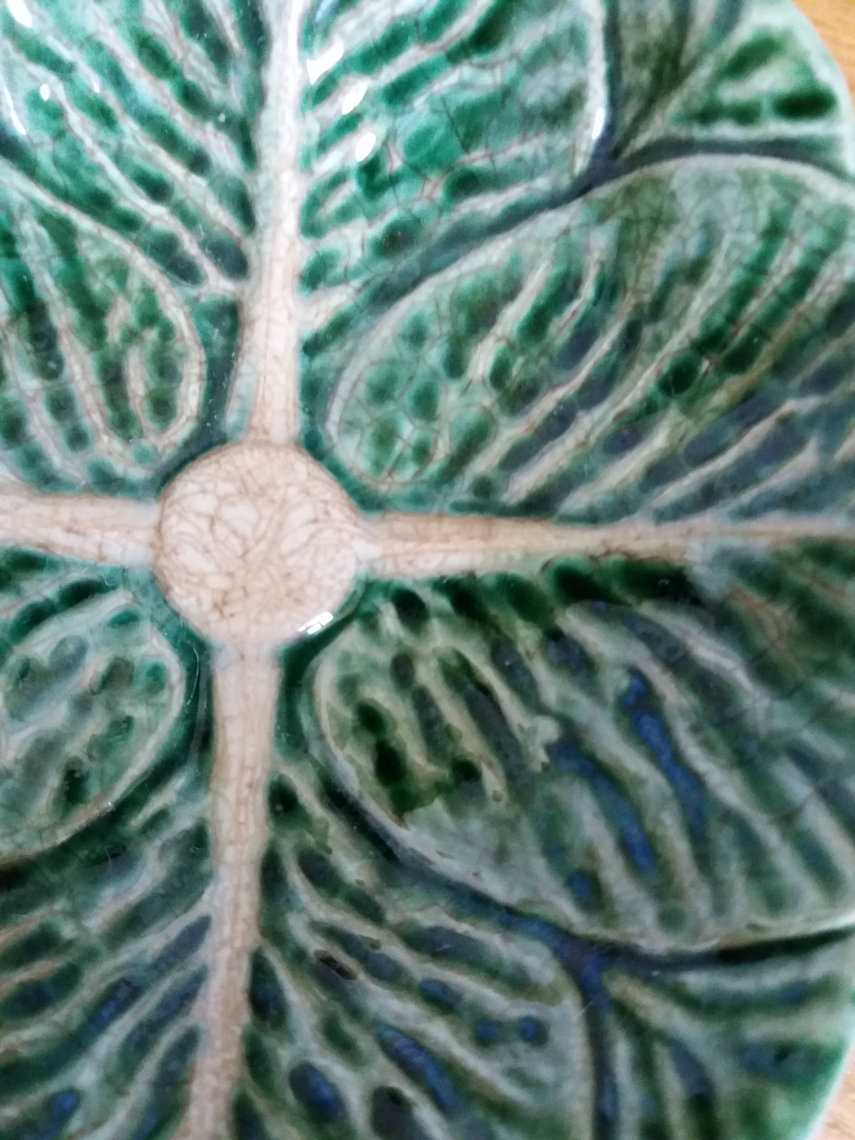 Saucer slushy Secla Portugal