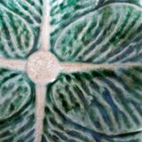 Saucer slushy Secla Portugal