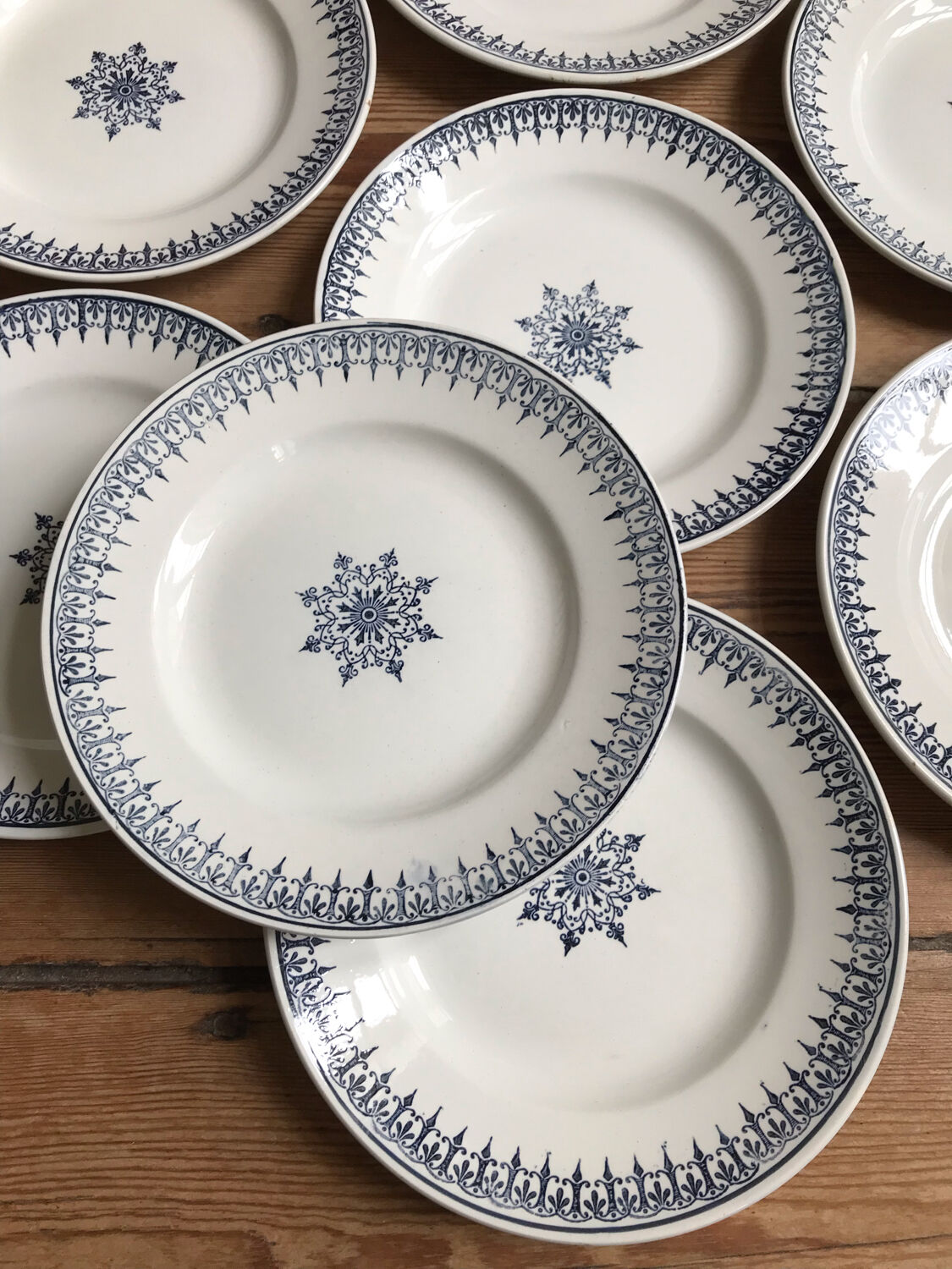 Series of 8 flat plates "PRIMAX"