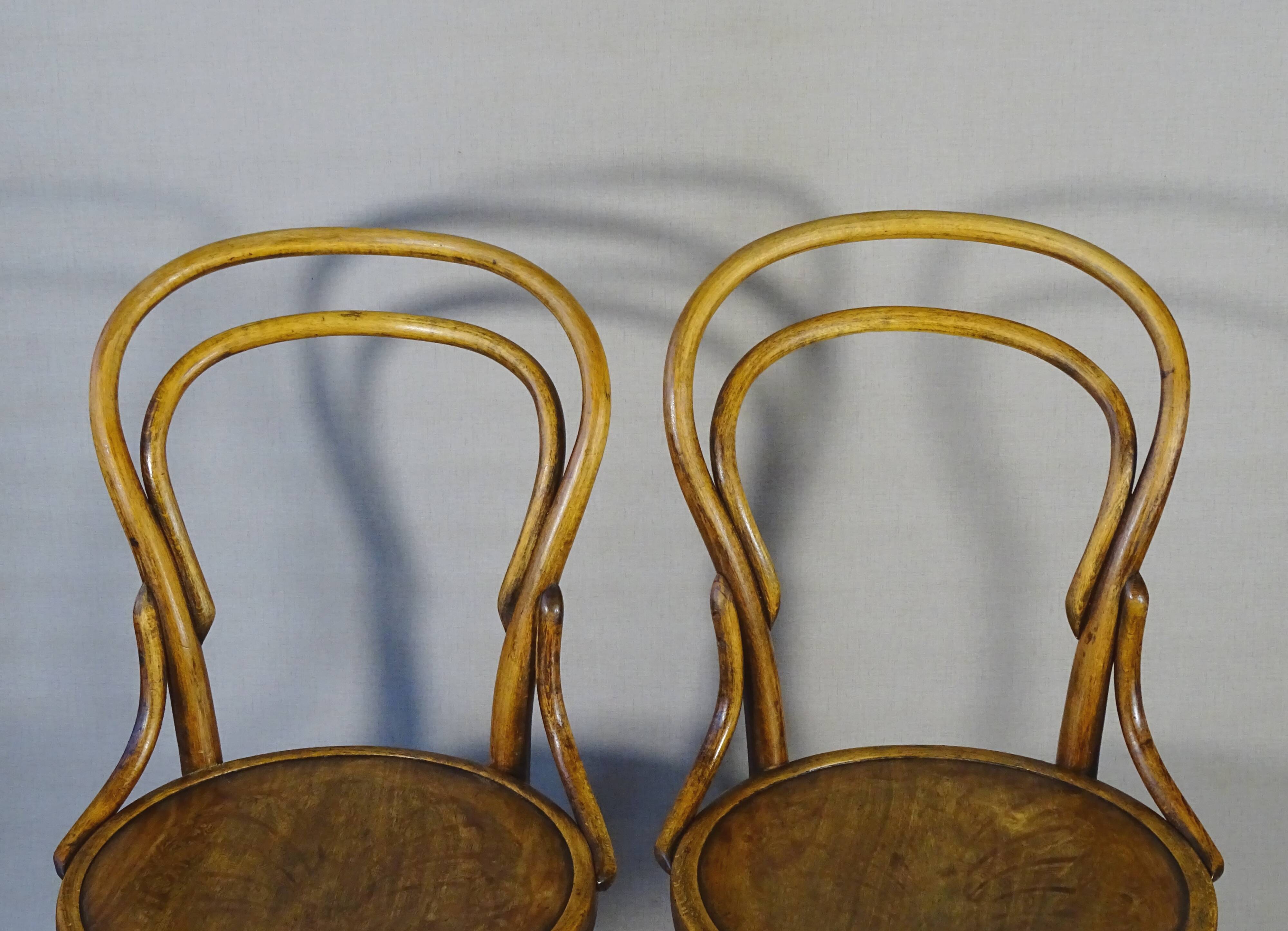 Two chairs No. 14, circa 1890 by Fuchs and Freud Bielitz, original patina