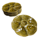 Set of 8 Gien oyster plates – Olive green