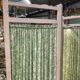 Vintage 1950s screen