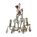 Grape variety chandelier