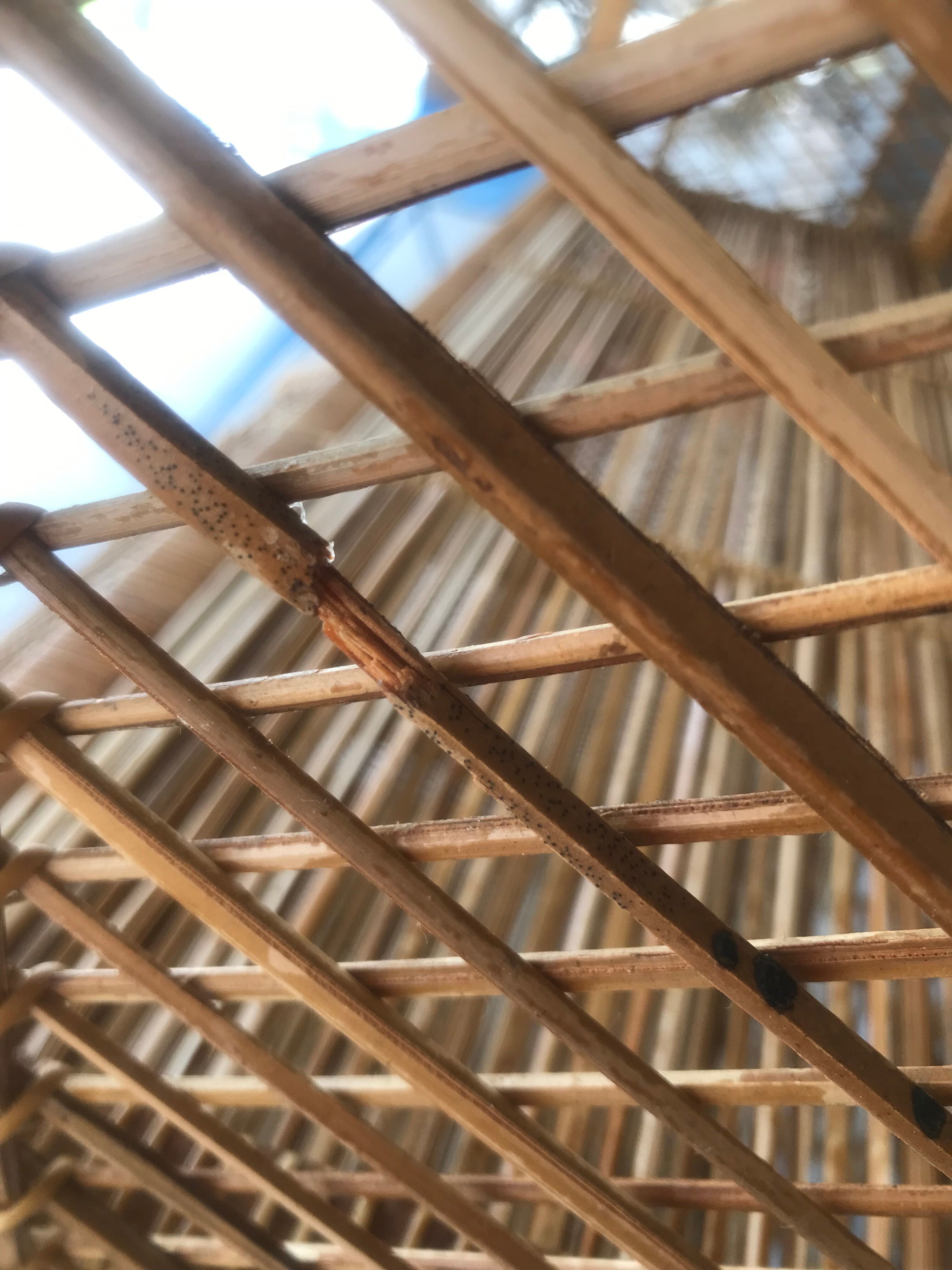 Vintage rattan bookcase