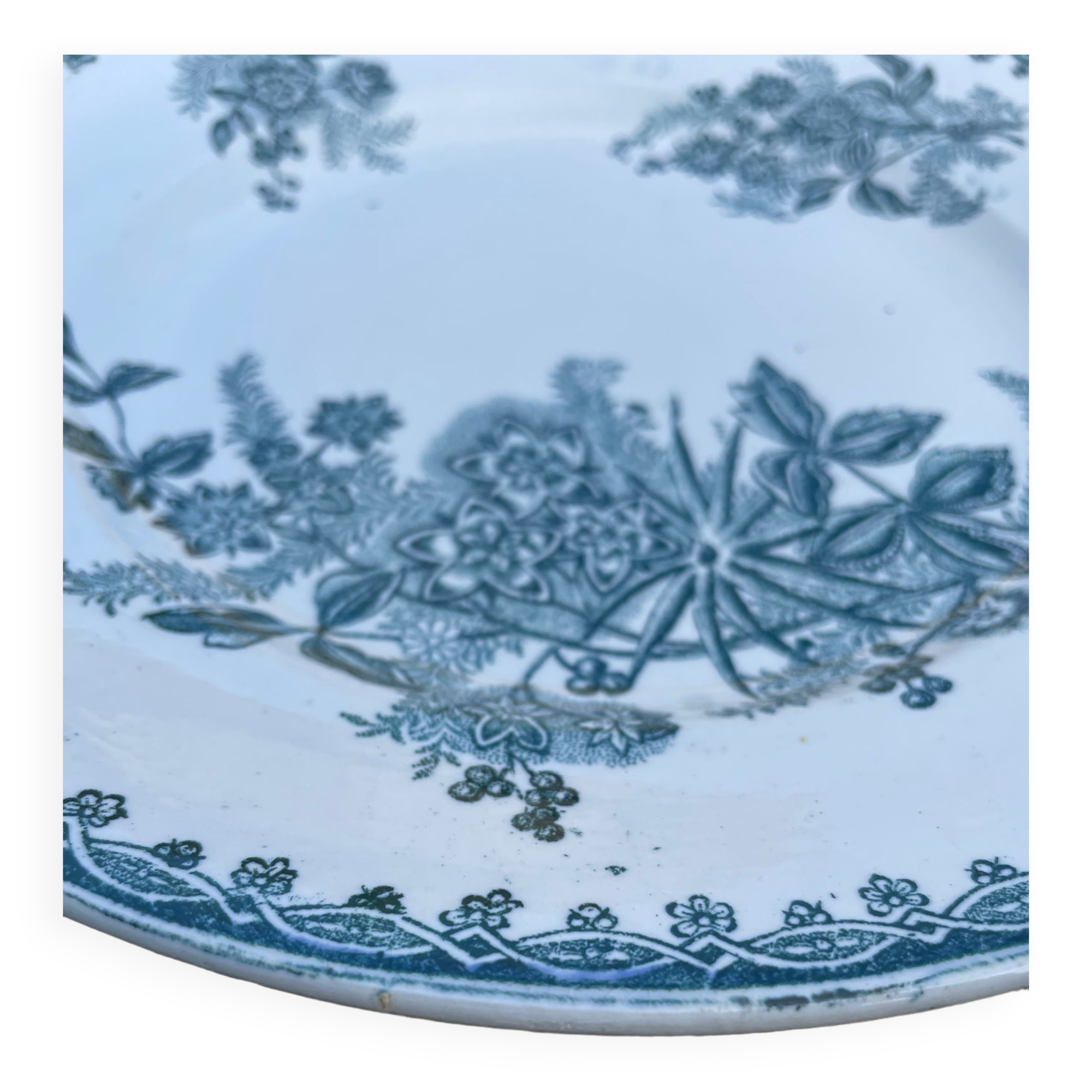 Set of 6 plates Terre de Fer model Margot Sté Amandinoise