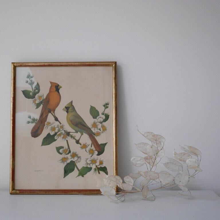 Freund bird frame