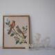 Cadre oiseaux Freund