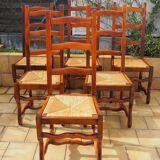 6 mulched chairs, sheep's bone, solid wood