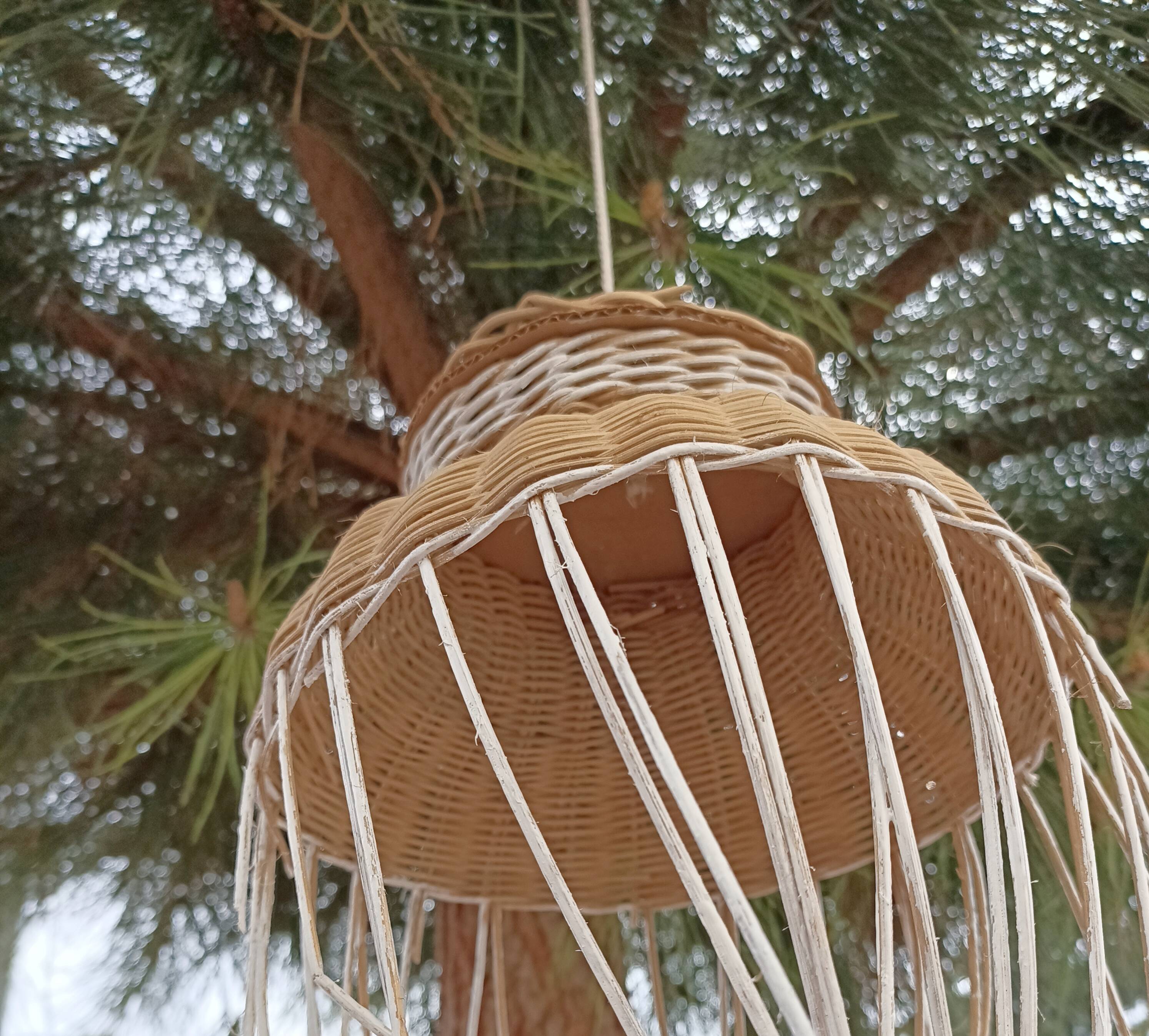 Duo of rattan hanging lamps