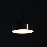 1970s Pendant Lamp with Floral Motiv, Czechoslovakia