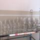 Services de verres de différentes tailles