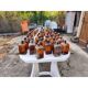 Set of 41 brown glass pharmacy bottles.