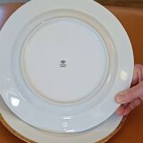 Limoges porcelain