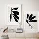 Paire d'illustrations, A3