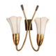 Sconce 2 brass branches, opaline tulip, 1950
