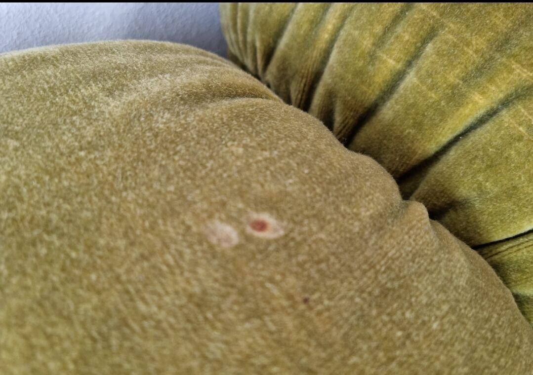 Modular green sofa vintage 70s