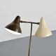 Double-arm adjustable reading floor lamp by J.J.M. Hoogervorst, Anvia, circa 1950.