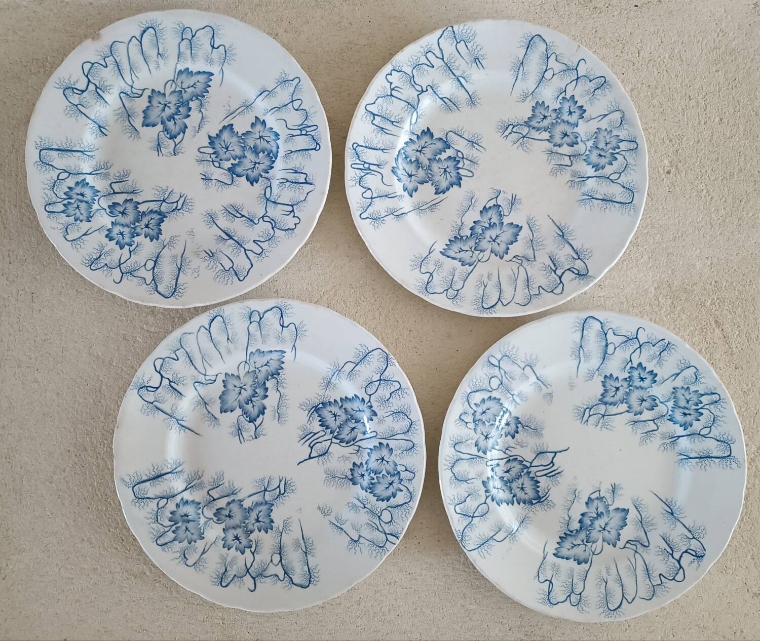 4 assiettes Creil-Montereau modèle Flora Lichen