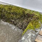 19th century granite trough