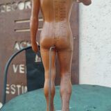Acupuncture mannequin circa 1960