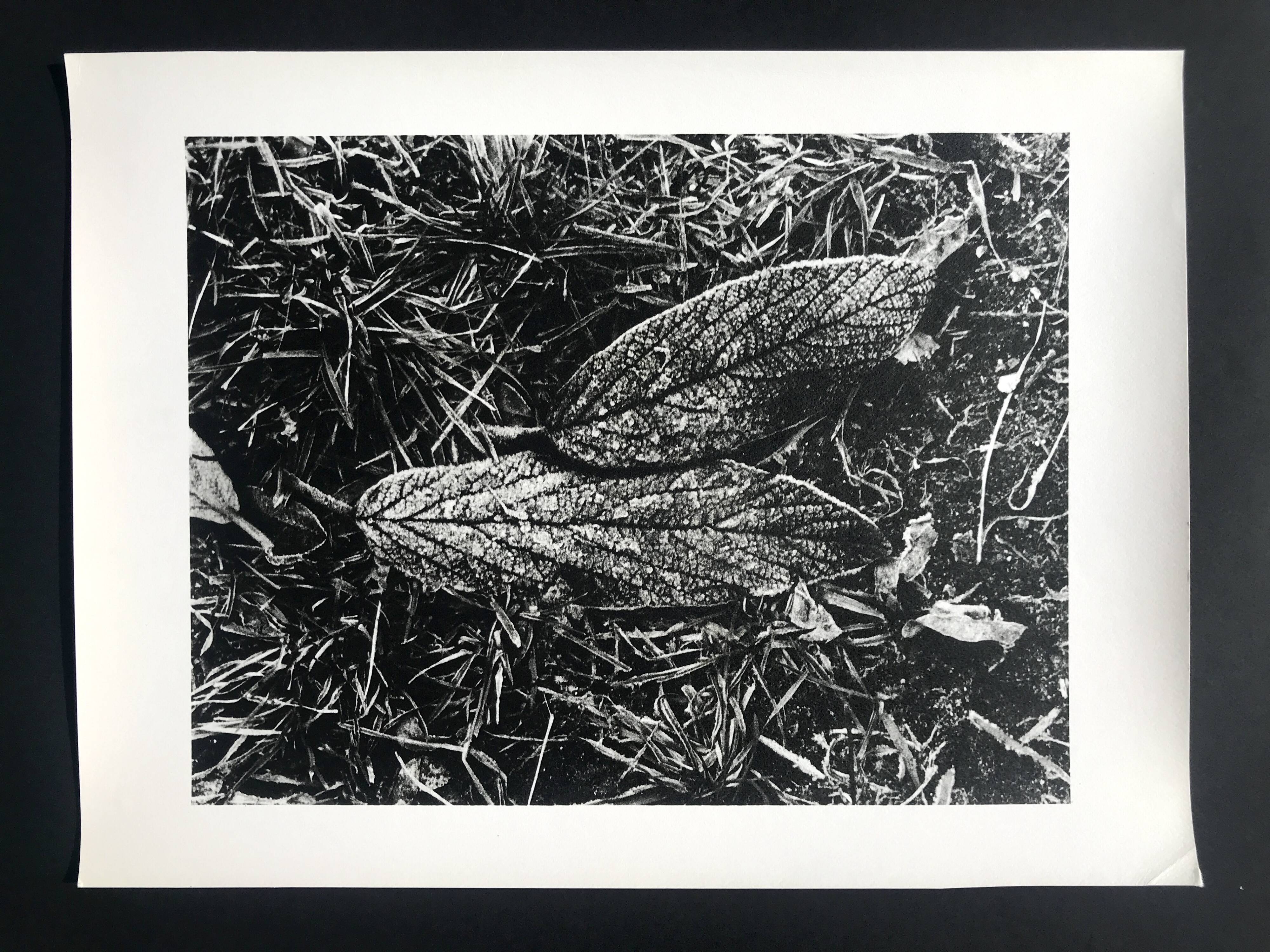 Rosine nusimovici, frost, 1980. black and white silver print signed on the back