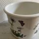 Cache pot Portmeirion Susan Williams Ellis The Botanic Garden