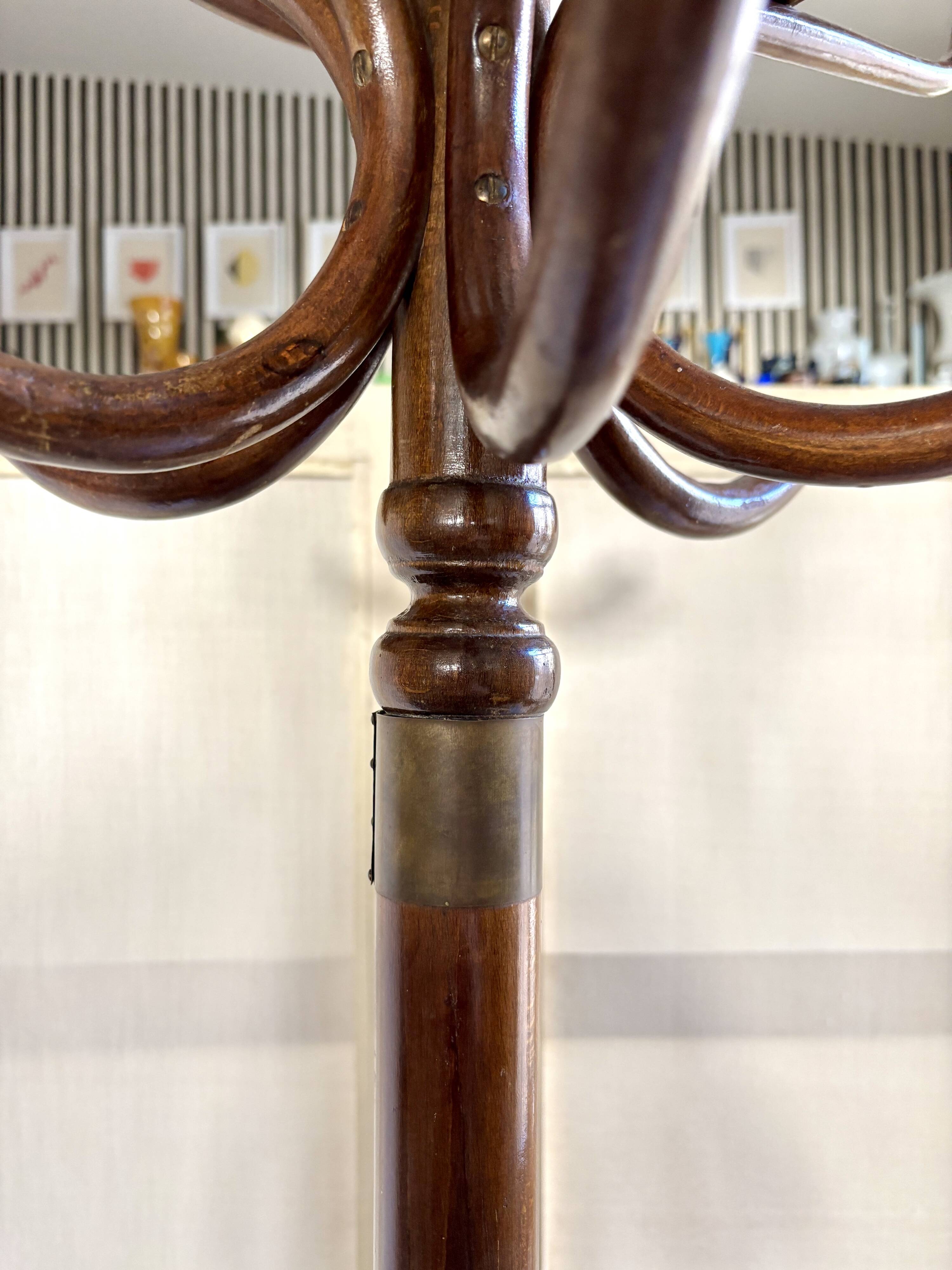 Parrot coat rack with 6 hooks in dark bent beech