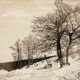 Painting signed HUBER - Watercolored Chinese ink - Snow landscape