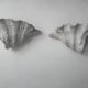 Pair of vintage shell wall lights, matte white plaster, France 1940