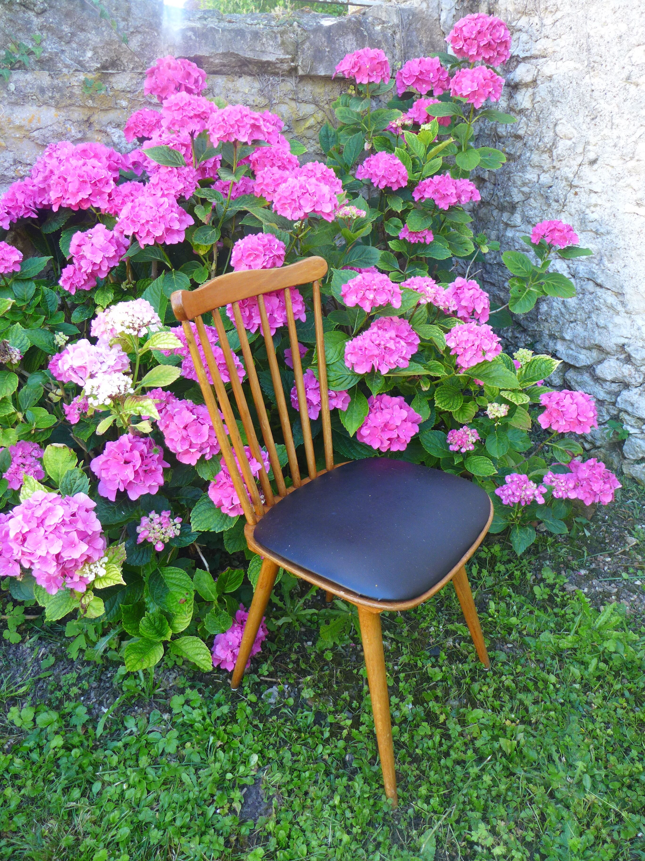 Pair of Chairs Baumann Menuet